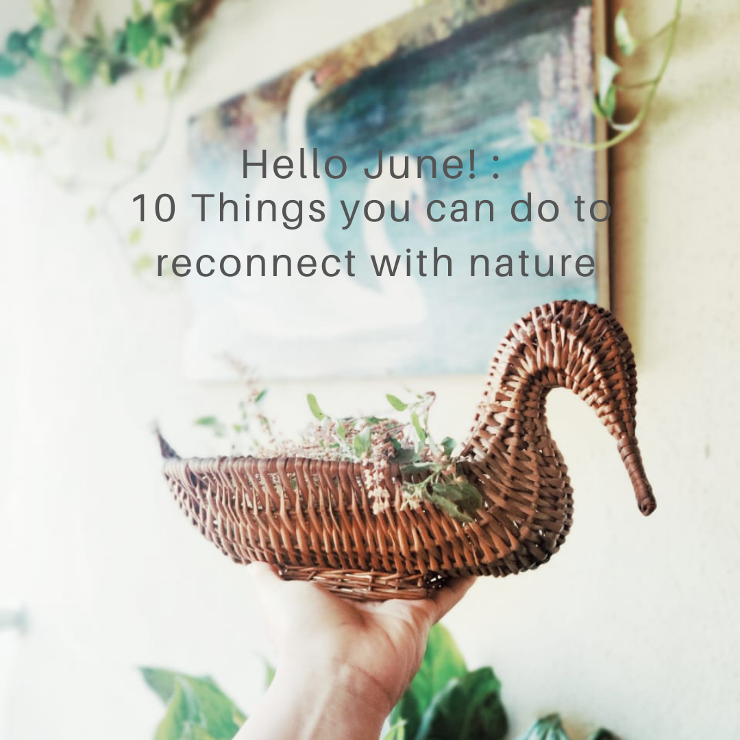 10 things you can do to reconnect with Nature this month