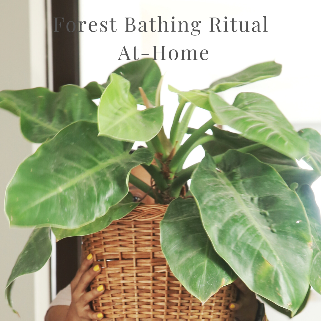 Forest Bathing Ritual At-Home
