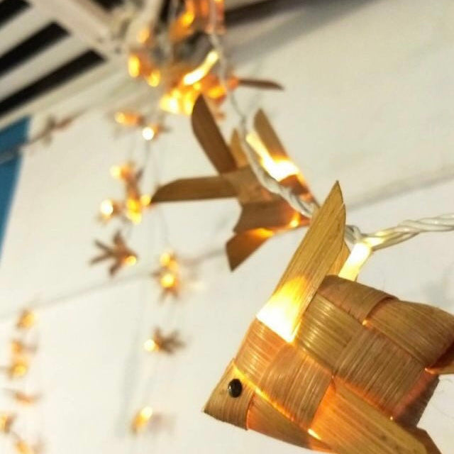 DIY Fish Fairy Lights