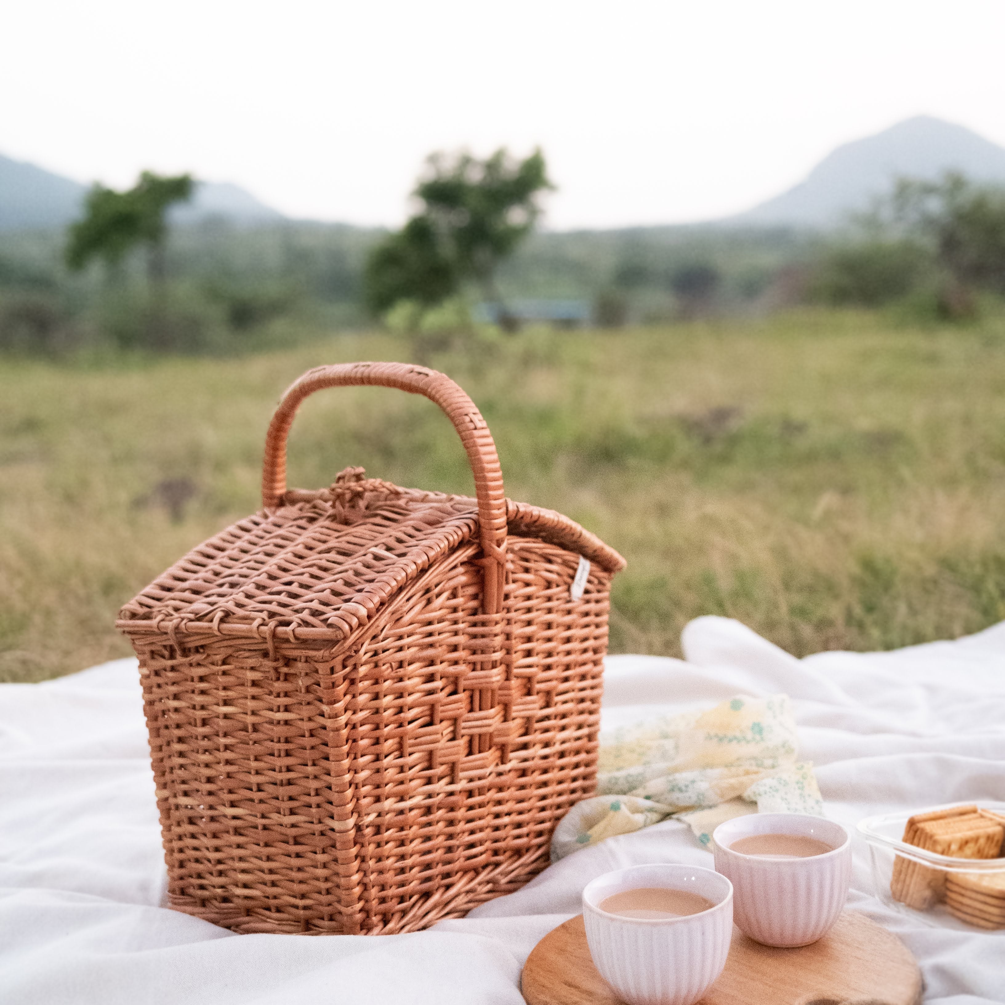 Picnic Day: The DaisyLife Way