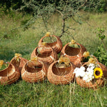 Moon Wicker Basket DaisyLife