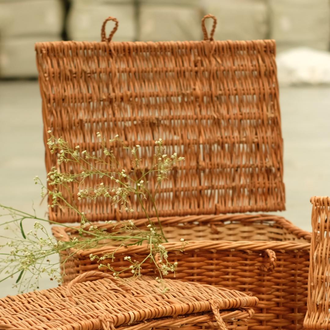 DaisyLife Wicker Tresure Chest
