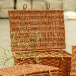 DaisyLife Wicker Tresure Chest