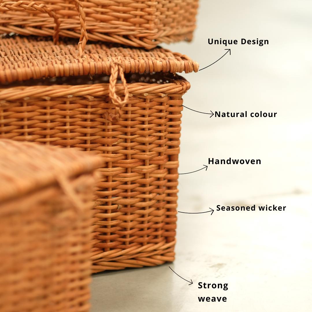 DaisyLife Wicker Tresure Chest