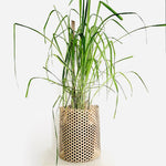 DIY Planter made from 5 meter roll, lightweight, skill-fully handwoven natural bamboo mat.