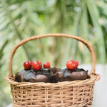 DaisyLife natural wicker round basket with handle